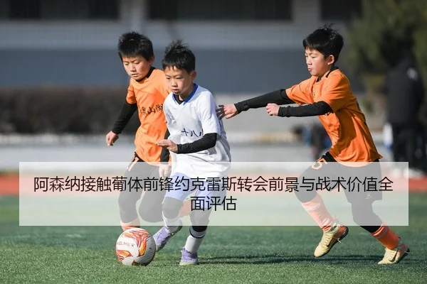 阿森纳接触葡体前锋约克雷斯转会前景与战术价值全面评估
